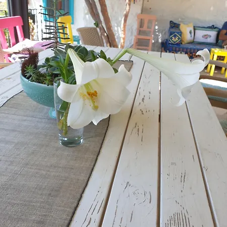 招待所 Guenes Butik Datca Cumali