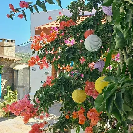 Guenes Butik Datca Cumali