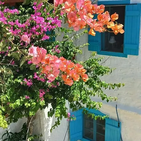 Guenes Butik Datca Cumali