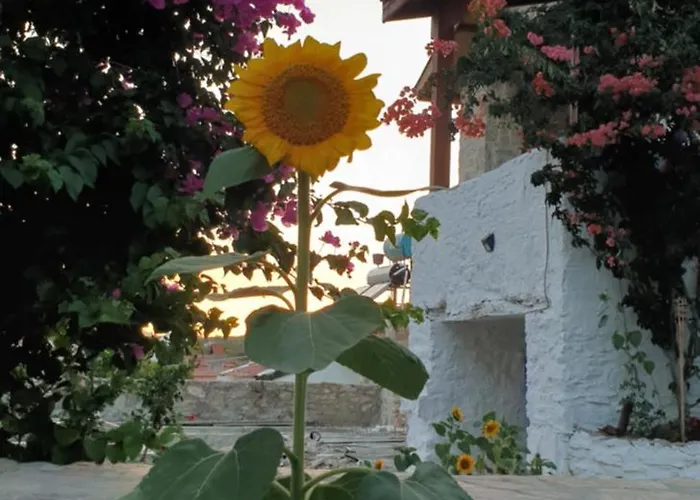 Guenesli Tepe Datca Cumali
