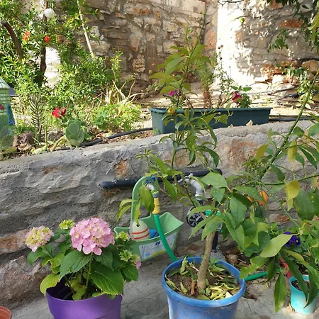 Guenesli Tepe Datca 3* Cumali