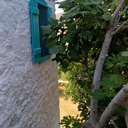 Guenesli Tepe Datca 招待所