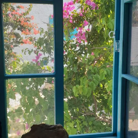 Guenesli Tepe Datca 招待所