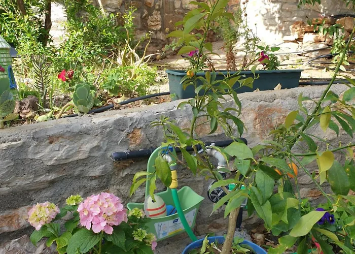 Guenes Butik Datca 3* Cumali