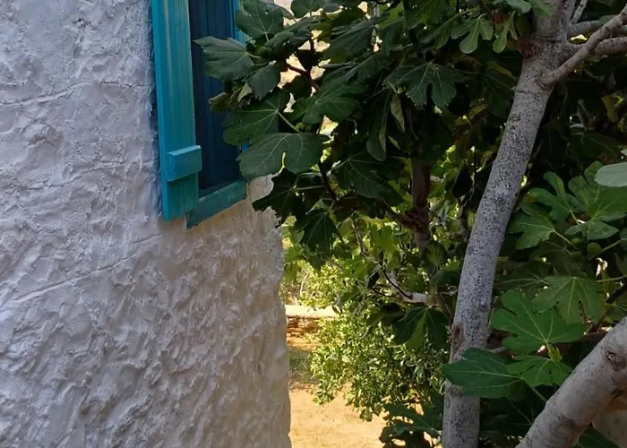 Guenesli Tepe Datca Affittacamere